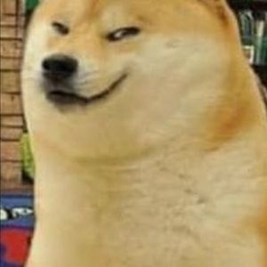 Meet your Posher, Julian